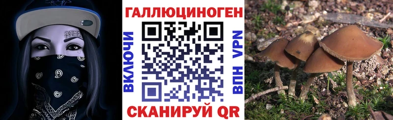 Псилоцибиновые грибы GOLDEN TEACHER  Балей 